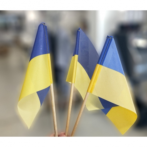 Ukrainos vėliavėlė...