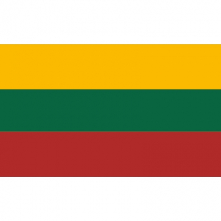 Lietuvos respublikos valstybinė vėliava SPAUSTA 1x1,7m su kišenė ir raišteliais