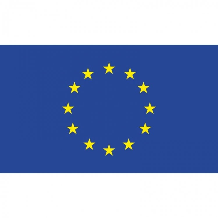 Europos sąjungos vėliava su karabinais 1x1,7m  