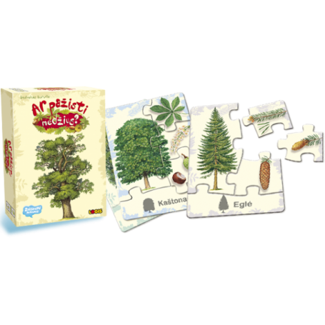Žaidimas „Ar pažįsti medžius?“ 