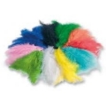 Dekoratyvinių plunksnų rinkinys 10 gr., įvairių spalvų FOLIA